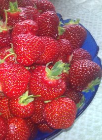 Solvarma jordgubbar