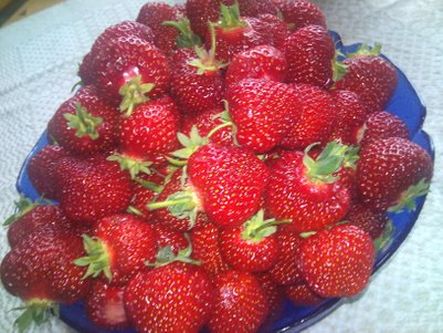 Färska jordgubbar i en skål
